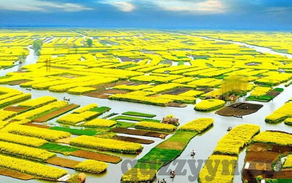 91麻豆国产自拍视频-91麻豆，国产自拍视频折射出的文化与现象