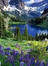 动感之星福利一区二区-探索动感之星的魅力，一区二区的独特福利与体验