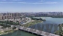 麻豆AV在线播放网站-跨越界限的诱惑，揭秘麻豆AV在线播放平台
