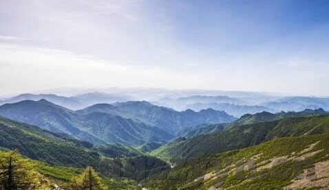 麻豆av正在播放-与其对生活的偏激影响，与麻豆AV相关的深思