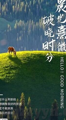 麻豆传媒映画的视频在线观看-探秘成人影业的艺术与边界，麻豆传媒映画的多维视角