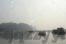 欧美理论在线大象视频-欧美理论在线与大象视频，文化交流的桥梁与边界探讨