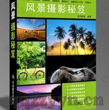 糖心vlog在线免费-糖心vlog，网络时代的免费视频乐园
