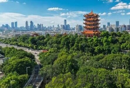 糖心vlog最新下载地址-探索糖心Vlog的最新下载轨迹——优越内容的影音之旅