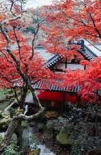 下媚药系列中文字幕-探索下媚药系列，中文字幕下的情感纠葛与道德边界